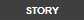 Story